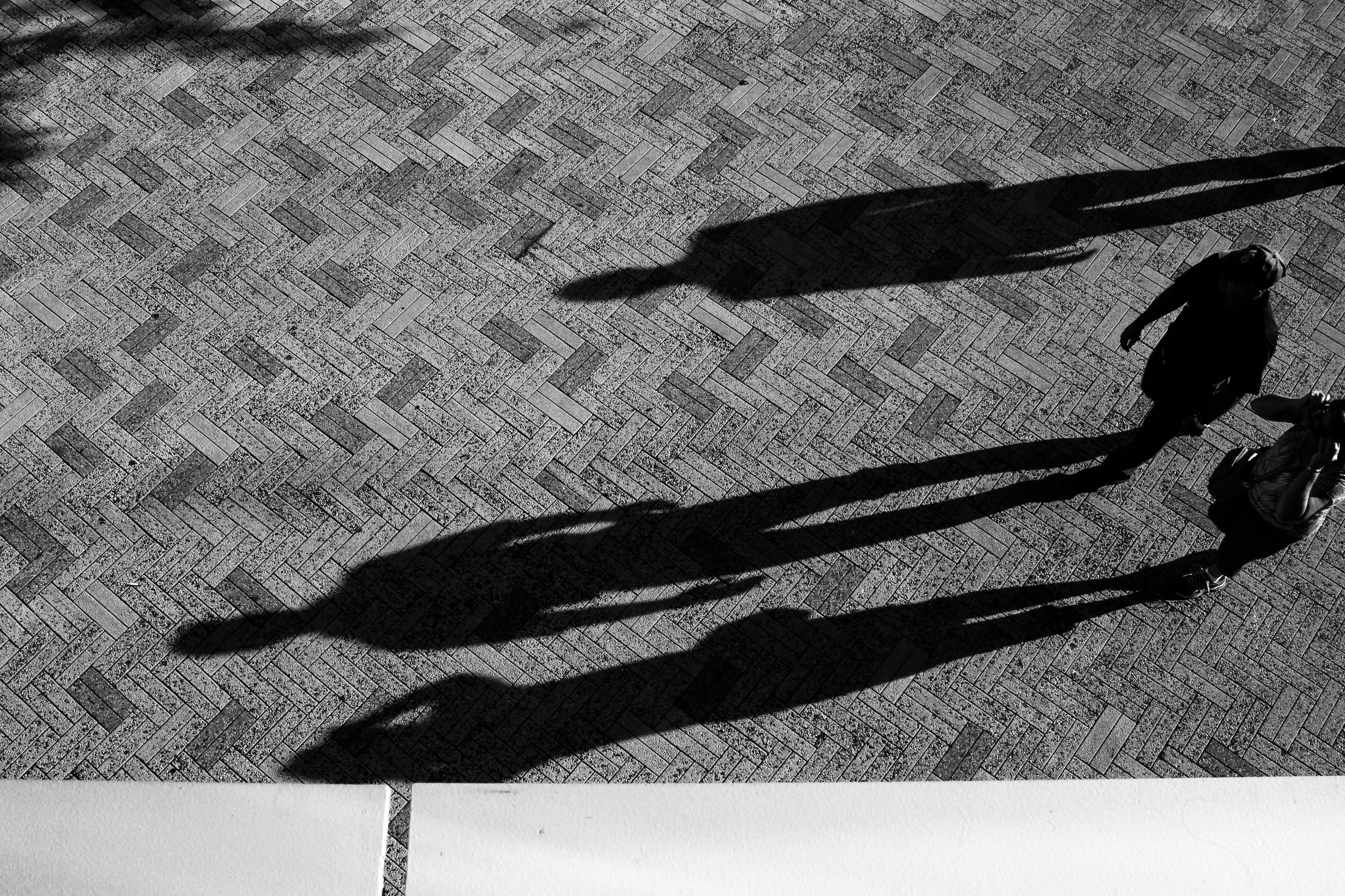 shadows 1
